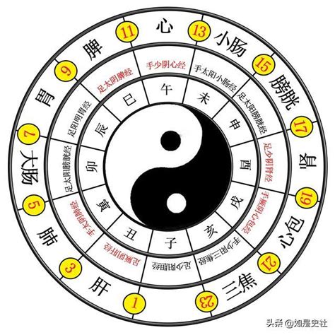 太極兩儀三才四象五行六合七星八卦九宮|太極兩儀：易經入門必讀